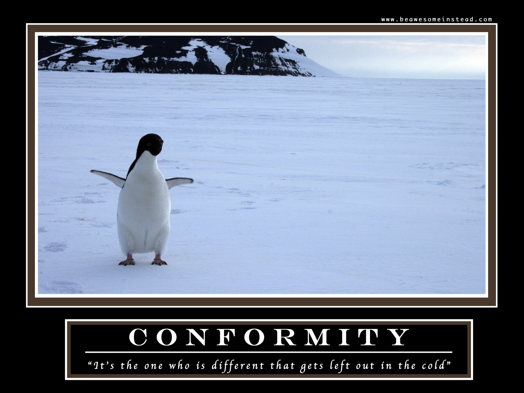 conformity-1680-1260.jpg